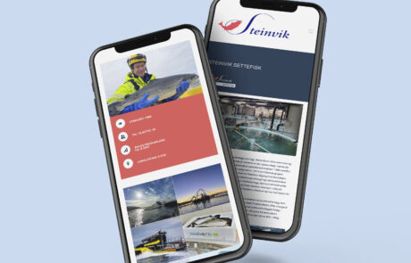 Steinvik iphone - atilaa.no