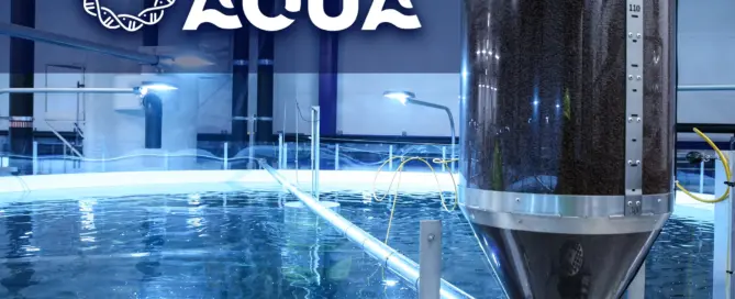 Logo og nettside Onshore Aqua - atilaa.no
