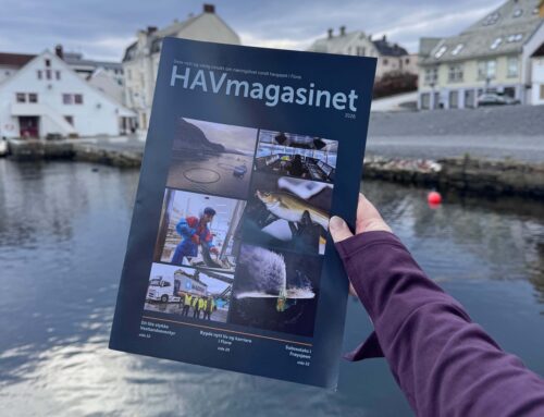 HAVmagasinet 2026